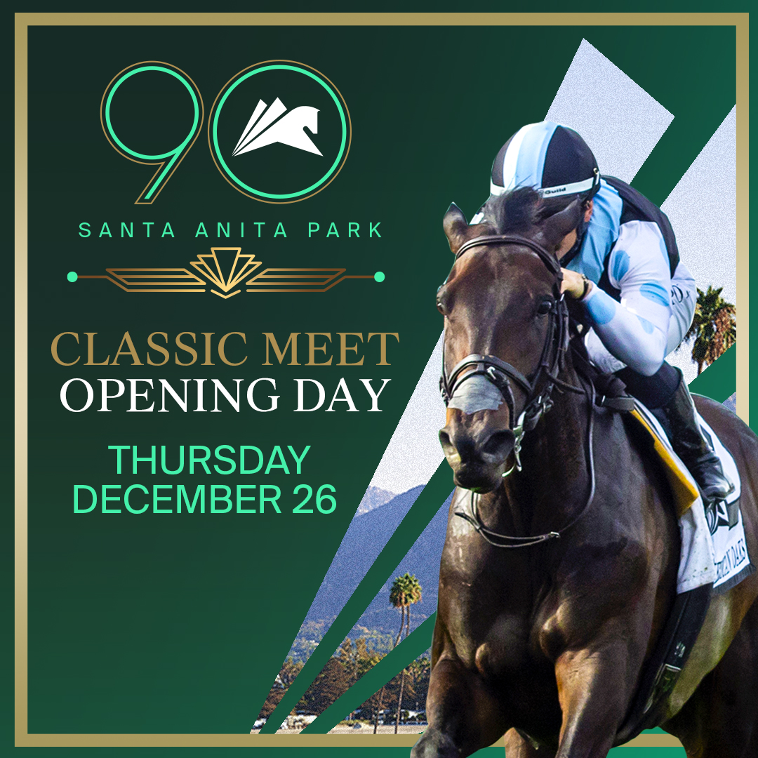 JOIN US ON OPENING DAY, DECEMBER 26TH!